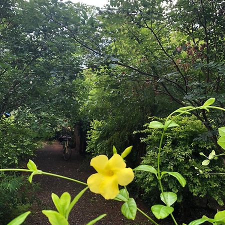 Forest Villa Nature Resort アヌラーダプラ エクステリア 写真