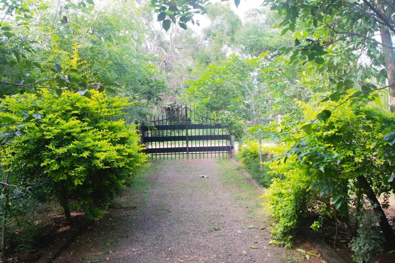 Forest Villa Nature Resort アヌラーダプラ エクステリア 写真