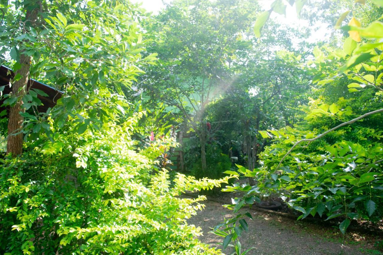 Forest Villa Nature Resort アヌラーダプラ エクステリア 写真
