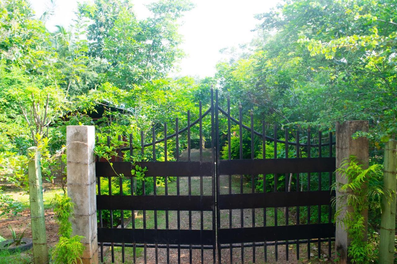 Forest Villa Nature Resort アヌラーダプラ エクステリア 写真