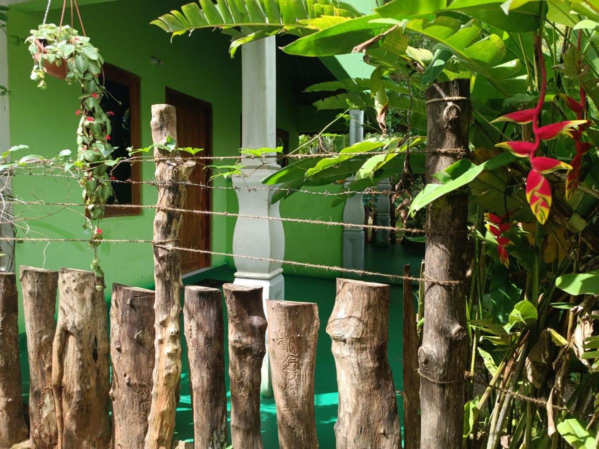 Forest Villa Nature Resort アヌラーダプラ エクステリア 写真