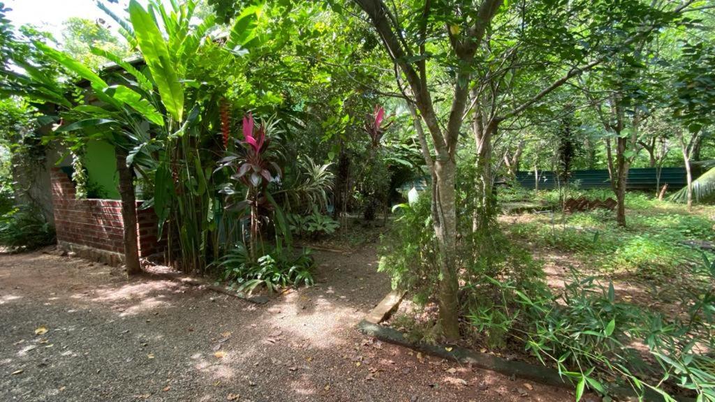 Forest Villa Nature Resort アヌラーダプラ エクステリア 写真