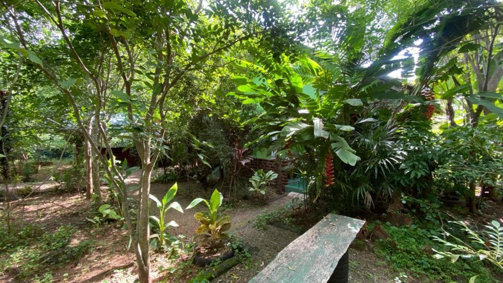 Forest Villa Nature Resort アヌラーダプラ エクステリア 写真