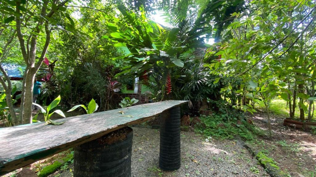 Forest Villa Nature Resort アヌラーダプラ エクステリア 写真