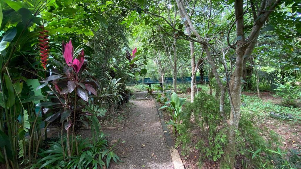 Forest Villa Nature Resort アヌラーダプラ エクステリア 写真