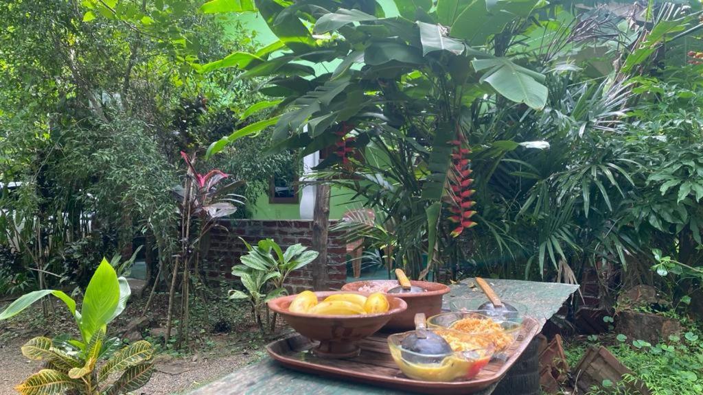 Forest Villa Nature Resort アヌラーダプラ エクステリア 写真