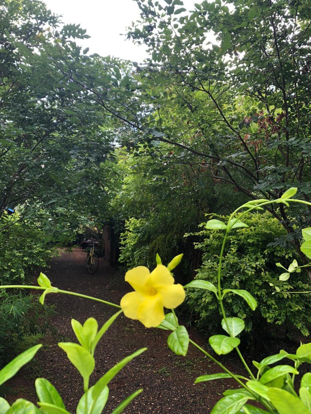 Forest Villa Nature Resort アヌラーダプラ エクステリア 写真