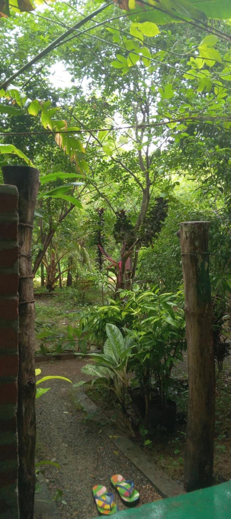 Forest Villa Nature Resort アヌラーダプラ エクステリア 写真