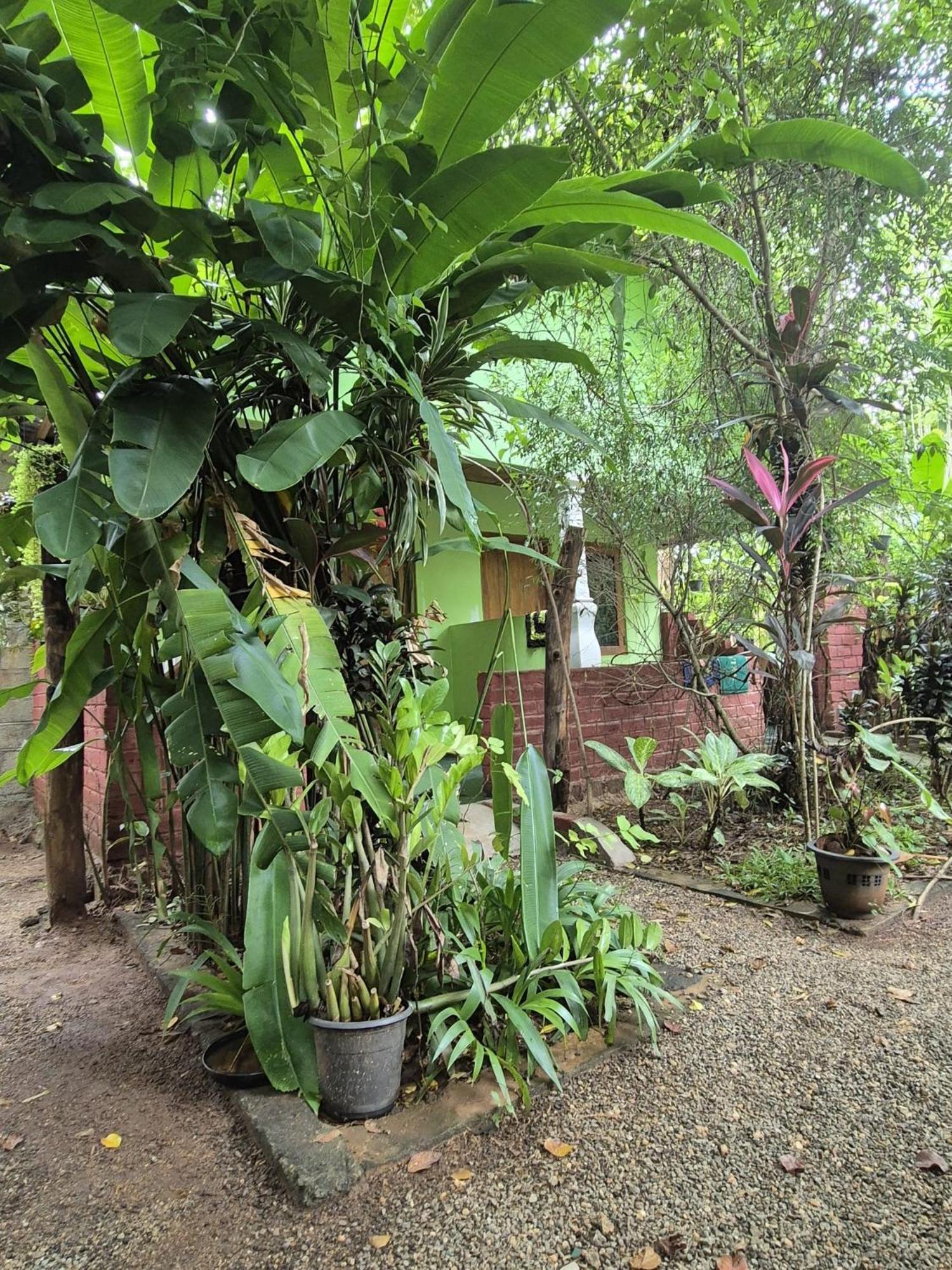 Forest Villa Nature Resort アヌラーダプラ エクステリア 写真
