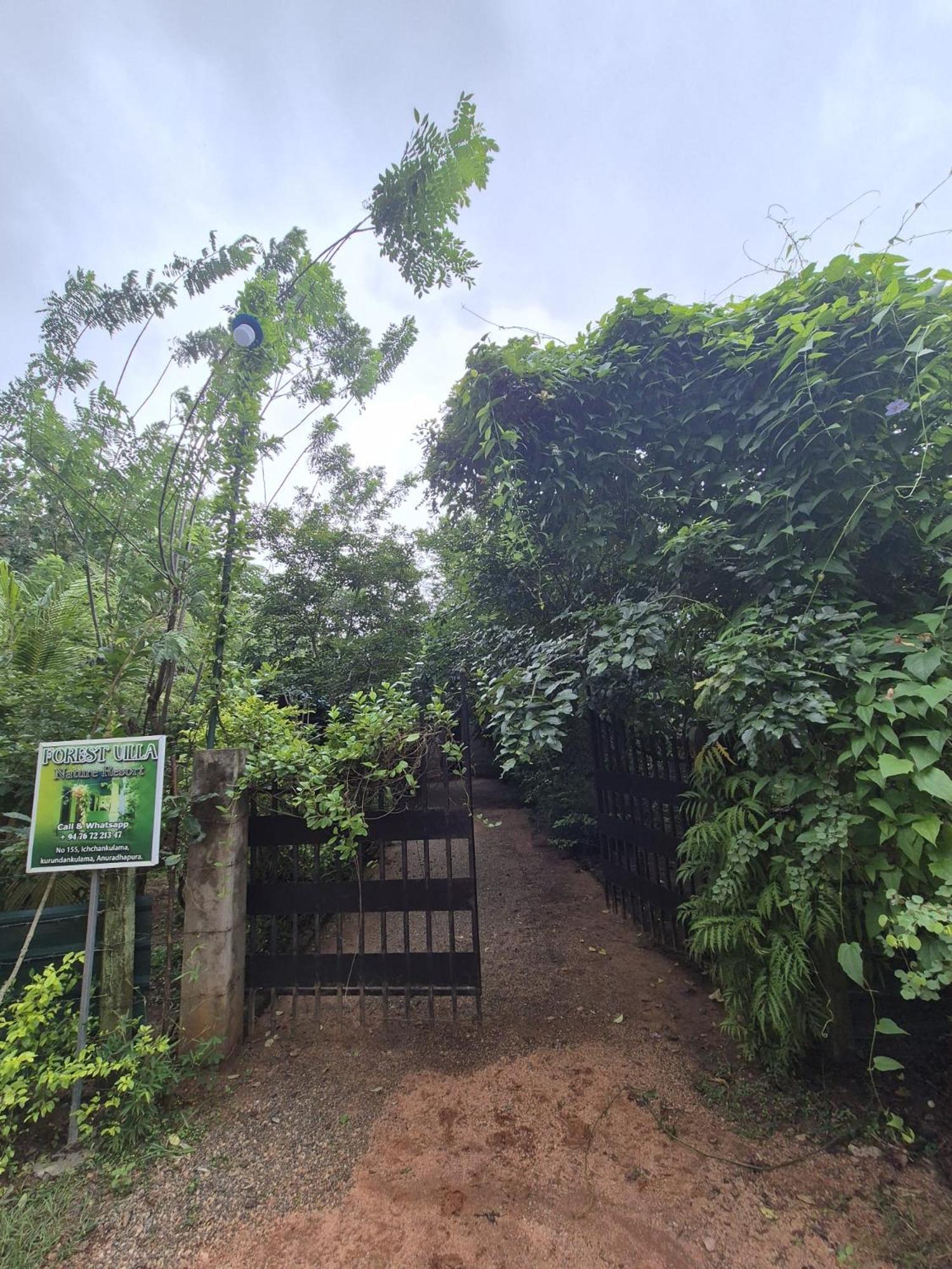 Forest Villa Nature Resort アヌラーダプラ エクステリア 写真