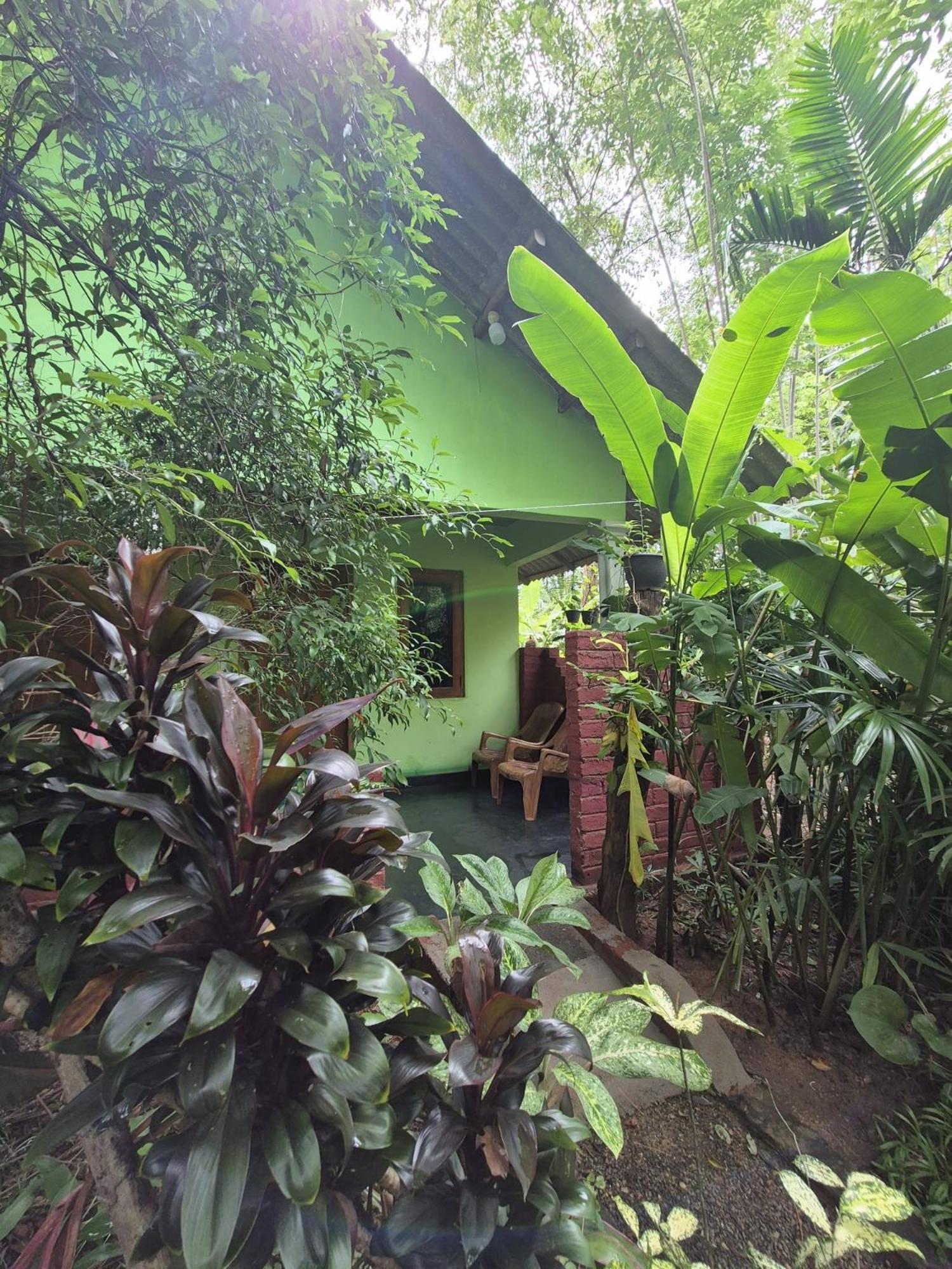 Forest Villa Nature Resort アヌラーダプラ エクステリア 写真